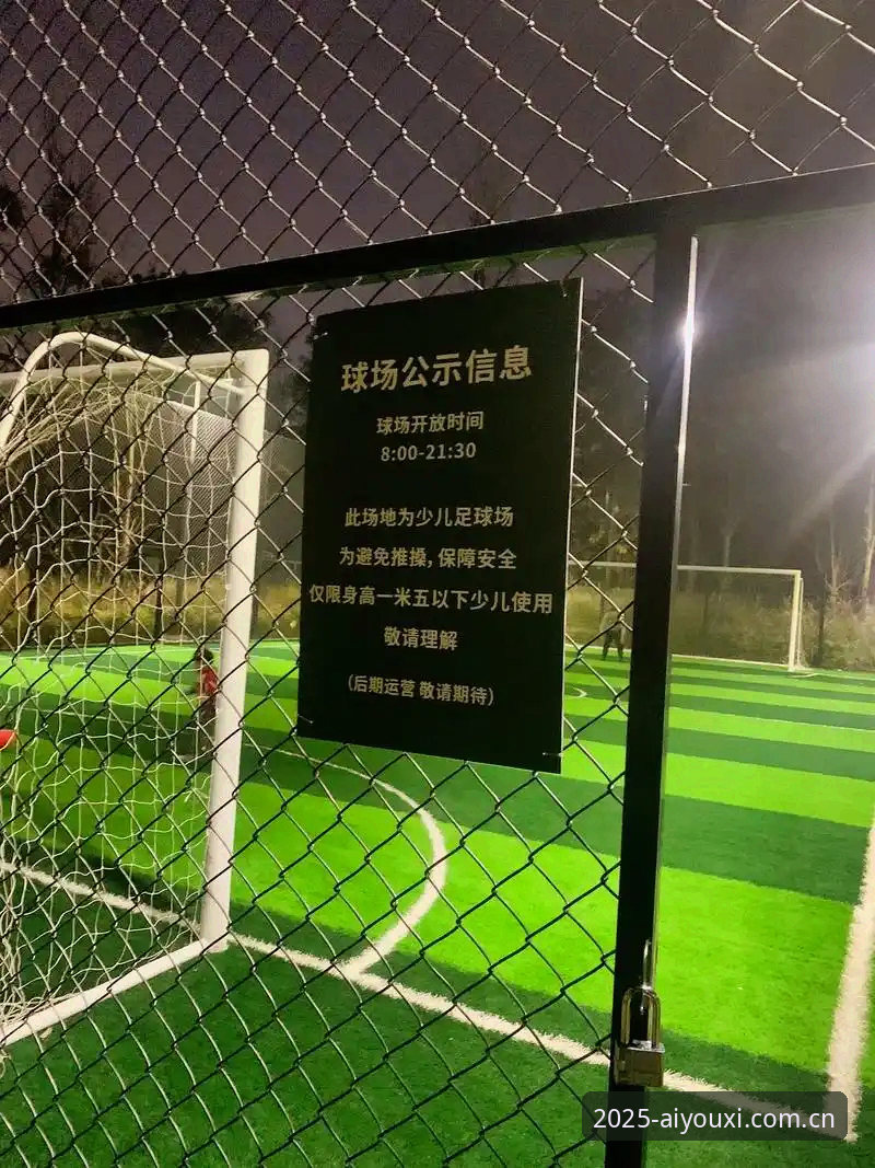 爱游戏官网官方入口使用指南 加雷斯·索斯盖特的下一步:从足球场到年轻男性的精神球场